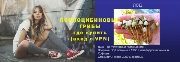 гашик Баксан
