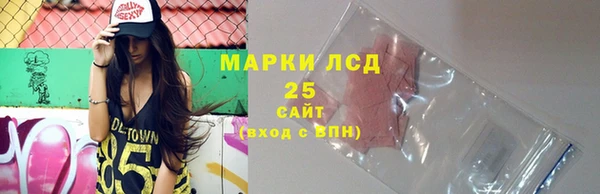 хмурый Аркадак