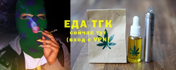 хмурый Аркадак