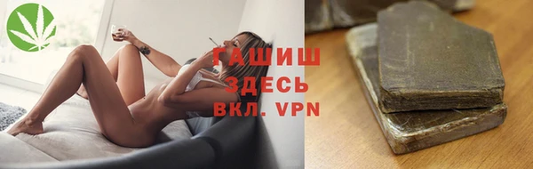 хмурый Аркадак