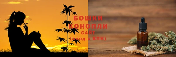 хмурый Аркадак